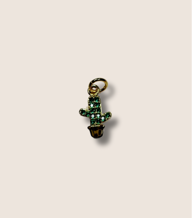 Tiny cactus