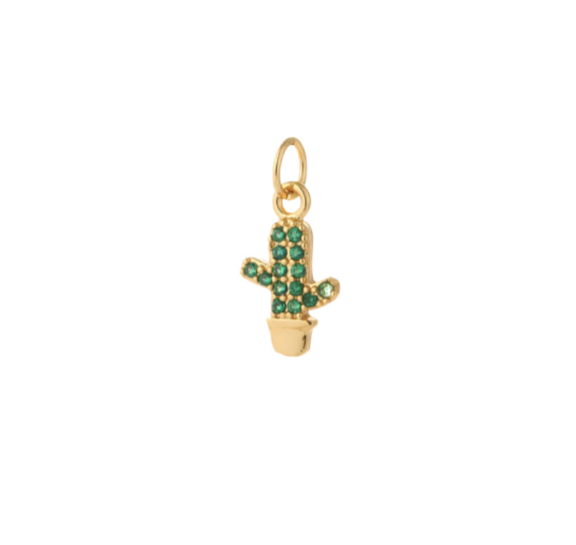 Tiny cactus