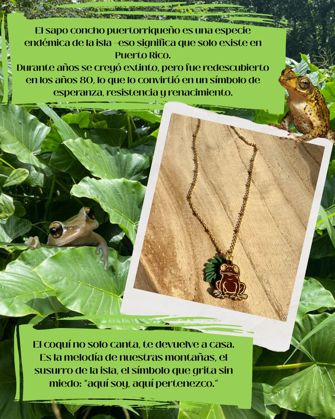 Sapito Tropi necklace