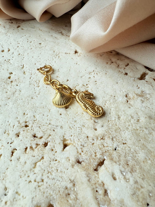 Shell & Caballito